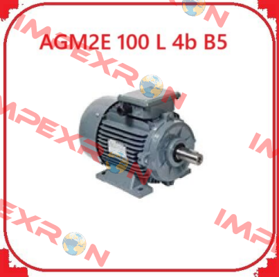 AGM2E 100 L 4b B5 Gamak