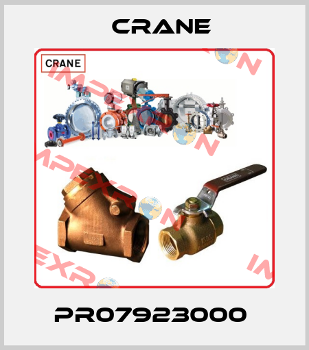 PR07923000  Crane