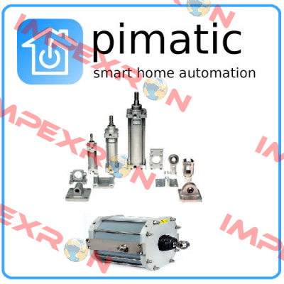 PV5-100-R-12-PU (100TA)  Pimatic