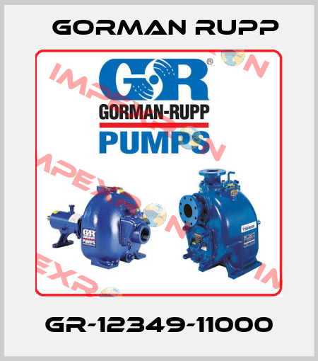 GR-12349-11000 Gorman Rupp
