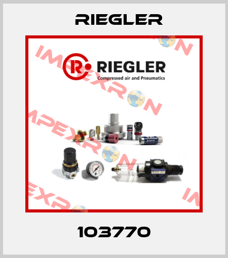 103770 Riegler