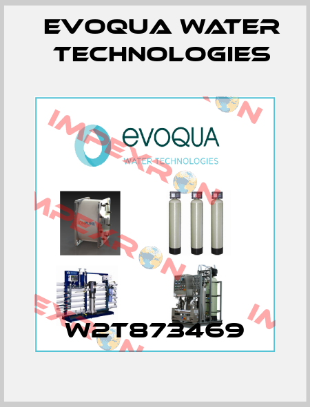 W2T873469 Evoqua Water Technologies