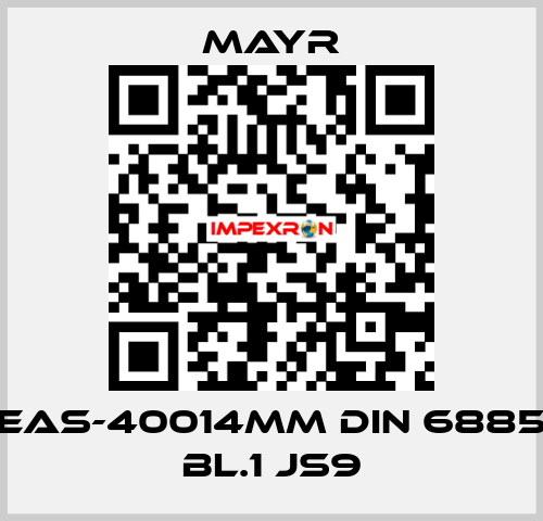 EAS-40014MM DIN 6885 BL.1 JS9 Mayr