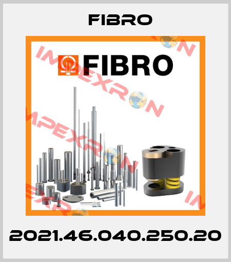 2021.46.040.250.20 Fibro
