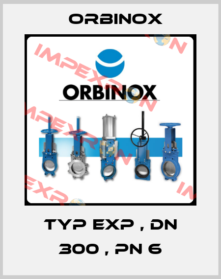 Typ EXP , DN 300 , PN 6 Orbinox