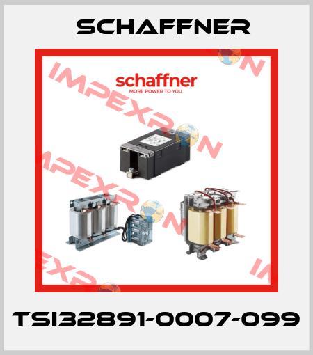 TSI32891-0007-099 Schaffner