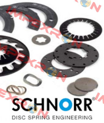 243 600 (pack x100) Schnorr