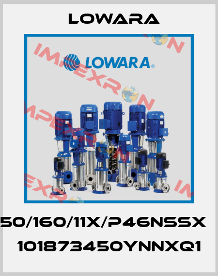 ESHS50/160/11X/P46NSSX　code 101873450YNNXQ1 Lowara