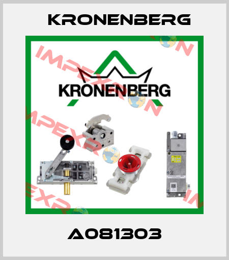 A081303 Kronenberg