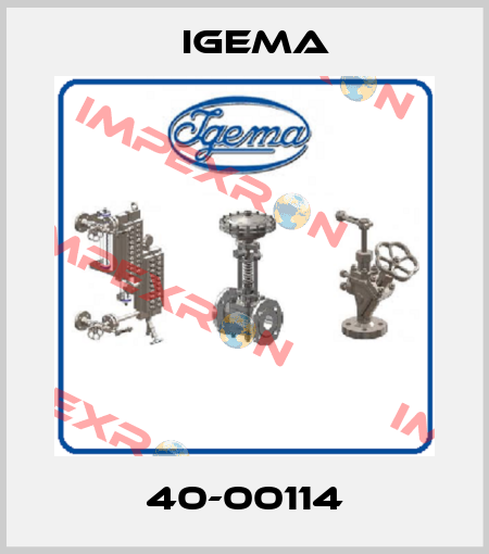 40-00114 Igema