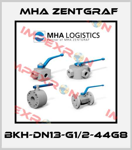 BKH-DN13-G1/2-44g8 Mha Zentgraf
