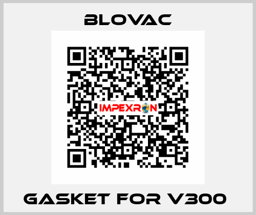 Gasket for V300  BLOVAC