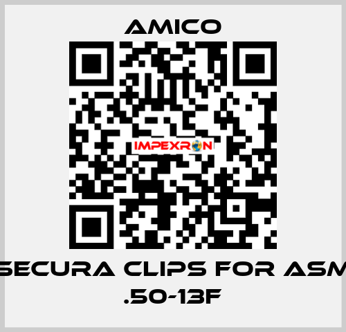 Secura Clips for ASM .50-13F AMICO