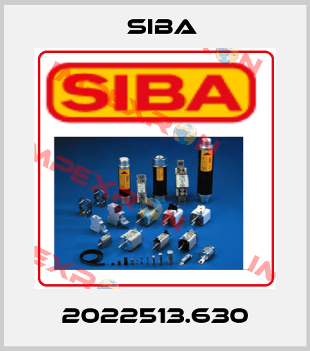 2022513.630 Siba