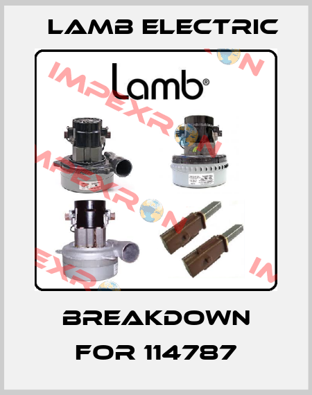 breakdown for 114787 Lamb Electric