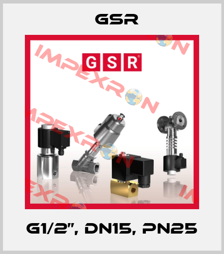 G1/2”, DN15, PN25 GSR
