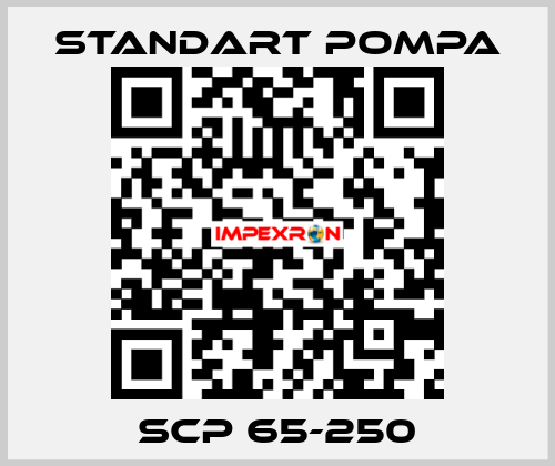 SCP 65-250 STANDART POMPA
