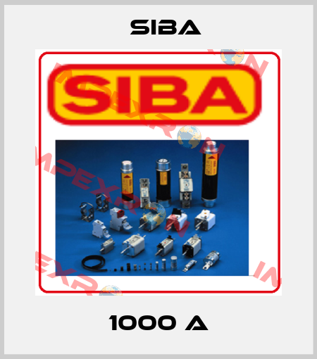 1000 A Siba