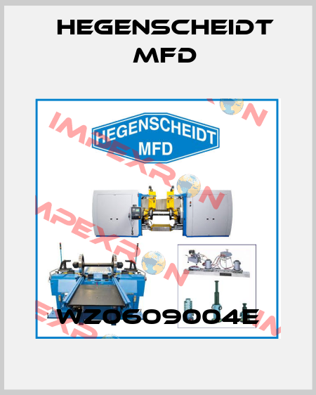 WZ0609004E Hegenscheidt MFD