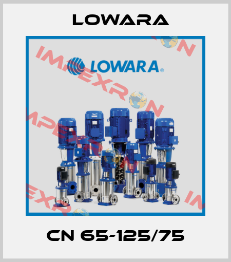 CN 65-125/75 Lowara
