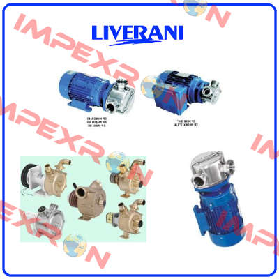 34341134 / 3173007 Liverani