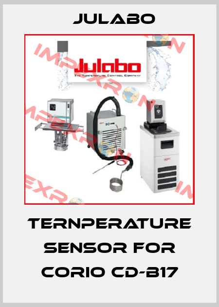 TernPerature sensor for CORIO CD-B17 Julabo