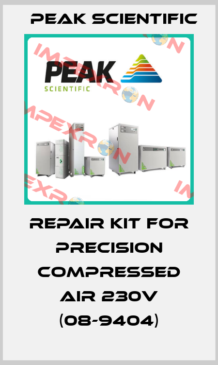 repair kit for Precision Compressed Air 230v (08-9404) Peak Scientific