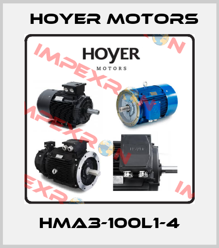 HMA3-100L1-4 Hoyer Motors