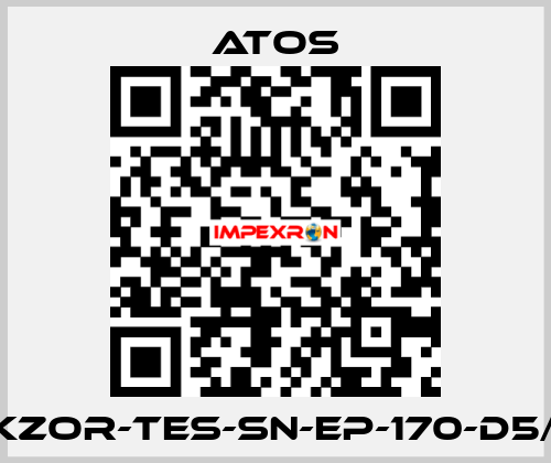 DKZOR-TES-SN-EP-170-D5/FI Atos