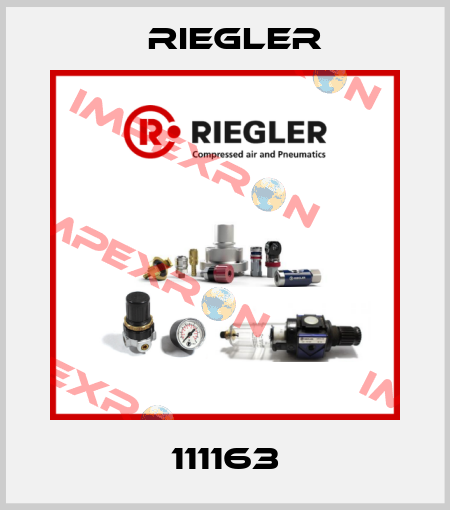 111163 Riegler