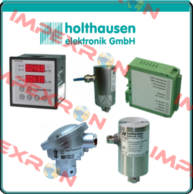 BVS 08 ATEX E 088X HOLTHAUSEN ELEKTRONIK