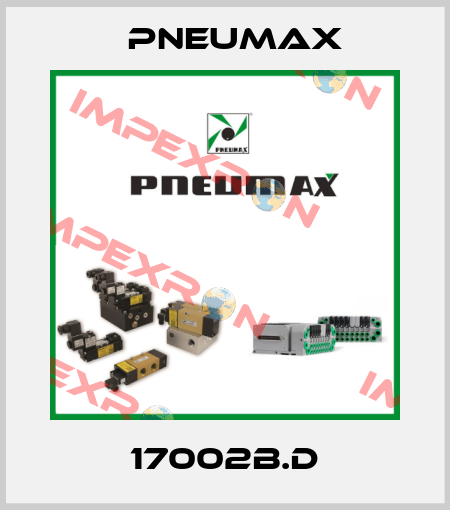 17002B.D Pneumax