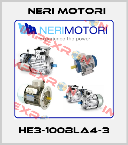 HE3-100BLA4-3 Neri Motori