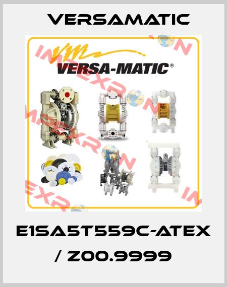 E1SA5T559C-ATEX / Z00.9999 VersaMatic