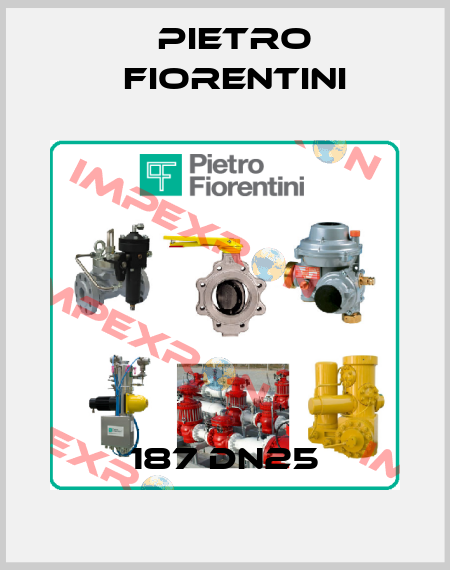 187 DN25 Pietro Fiorentini