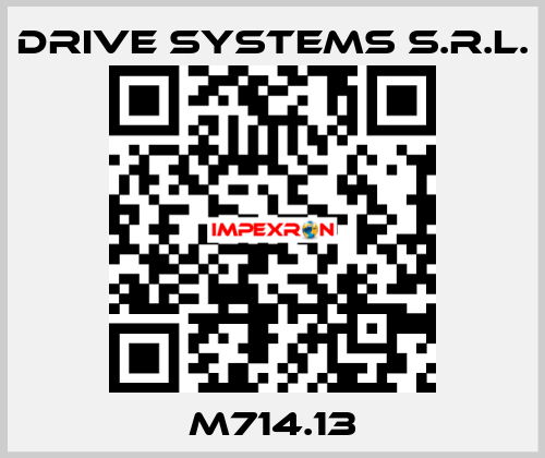 M714.13 DRIVE SYSTEMS s.r.l.