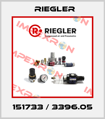 151733 / 3396.05 Riegler
