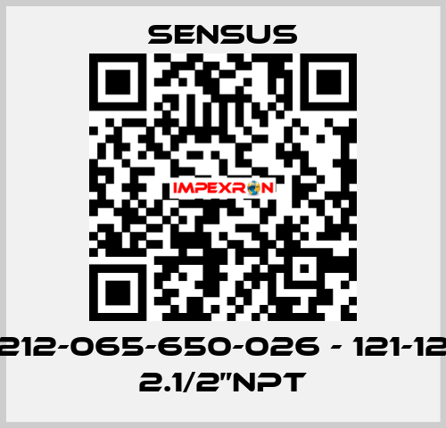 212-065-650-026 - 121-12 2.1/2”NPT Sensus