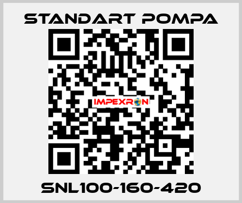 SNL100-160-420 STANDART POMPA