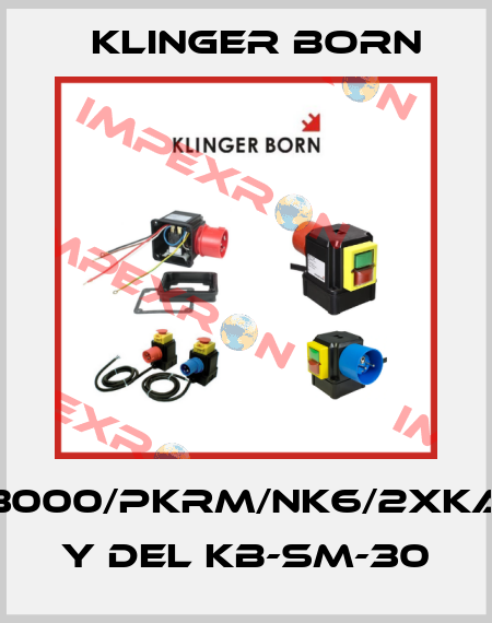 K3000/PKRM/NK6/2xKA6 y del KB-SM-30 Klinger Born