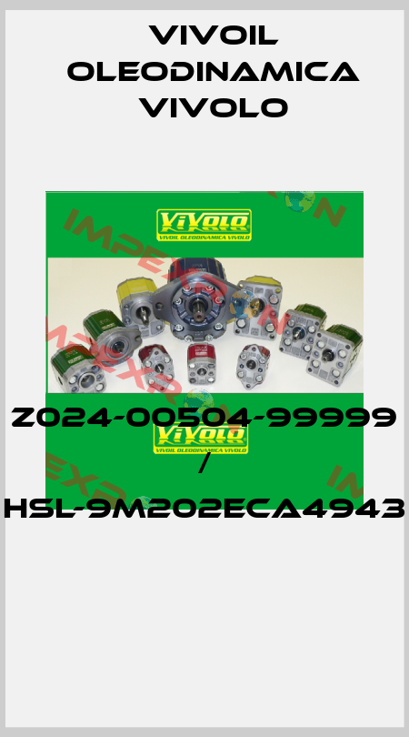 Z024-00504-99999 / HSL-9M202ECA4943  Vivoil Oleodinamica Vivolo