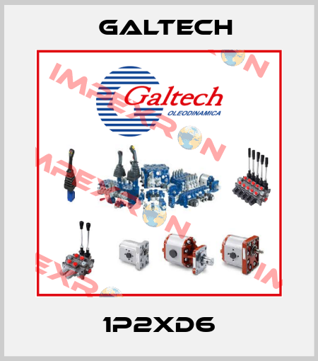 1P2XD6 Galtech