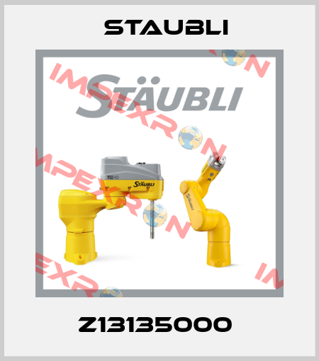Z13135000  Staubli