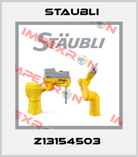 Z13154503  Staubli