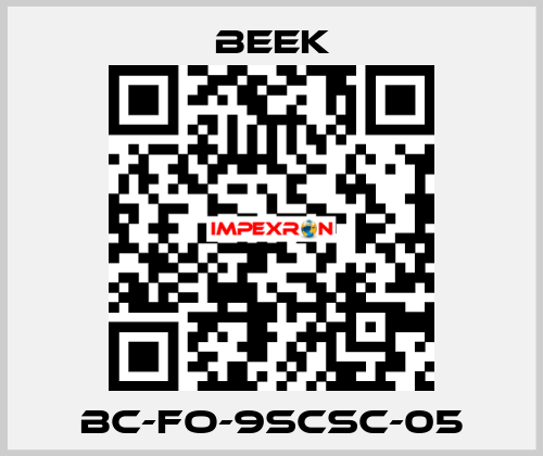 BC-FO-9SCSC-05 Beek