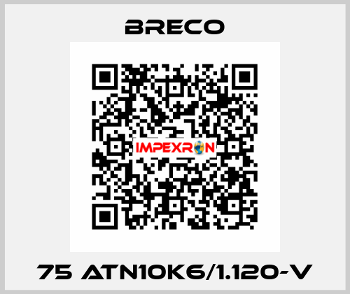75 ATN10K6/1.120-V Breco