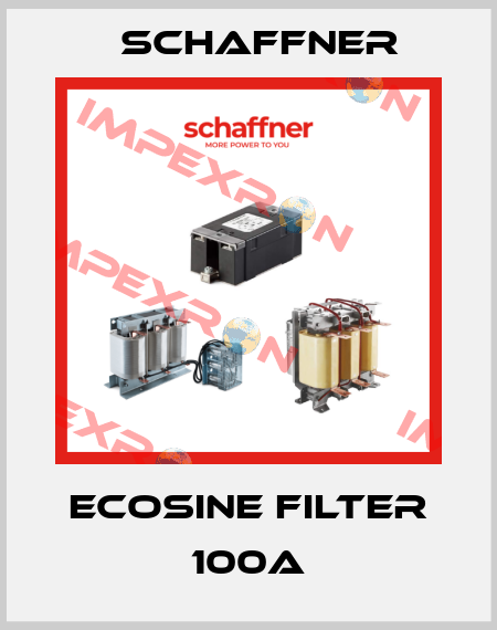 Ecosine filter 100A Schaffner
