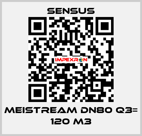 Meistream DN80 Q3= 120 m3 Sensus