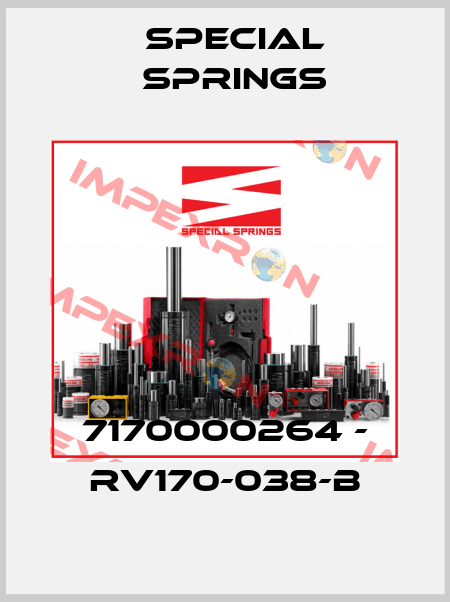 7170000264 - RV170-038-B Special Springs