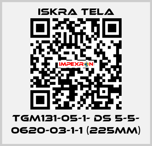 TGM131-05-1- DS 5-5- 0620-03-1-1 (225mm) ISKRA TELA